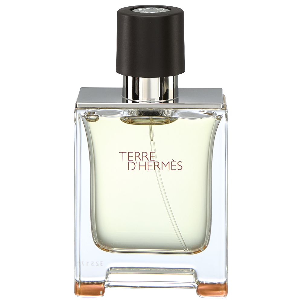 Hermes Terre D'Hermes Eau De Toilette 50ml – Justmylook