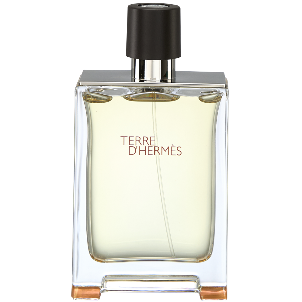 Hermes Terre D'Hermes Eau De Toilette 100ml – Justmylook
