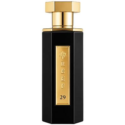 REEF Perfumes Reef 29 Eau De Parfum 100ml