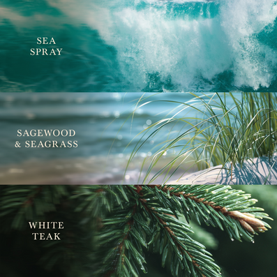WoodWick Trilogy Driftwood Shores Large Hourglass Jar Candle