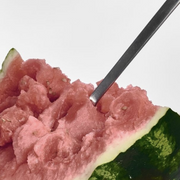 Watermelon filled with pink sorbet, served with a metal spoon against a white backdrop.