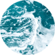 Aquatic
