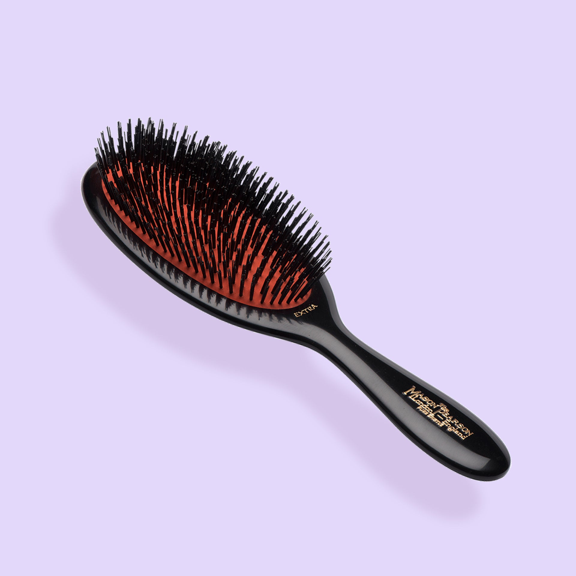 Medium.jpg?v=1757581600&width=860