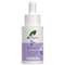 Smoothing Phyto Retinol