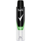 Quantum Dry