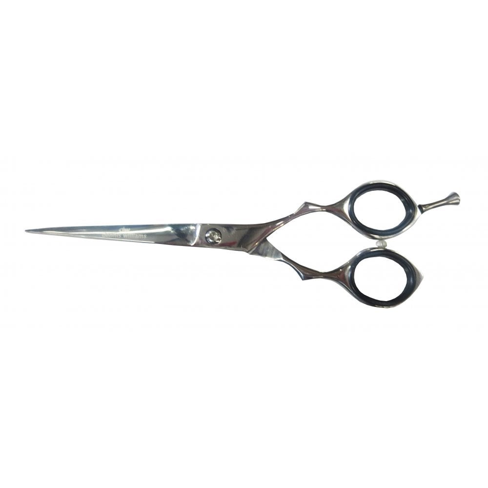 Professional Hairdressing Scissor 6 Inch – Justmylook